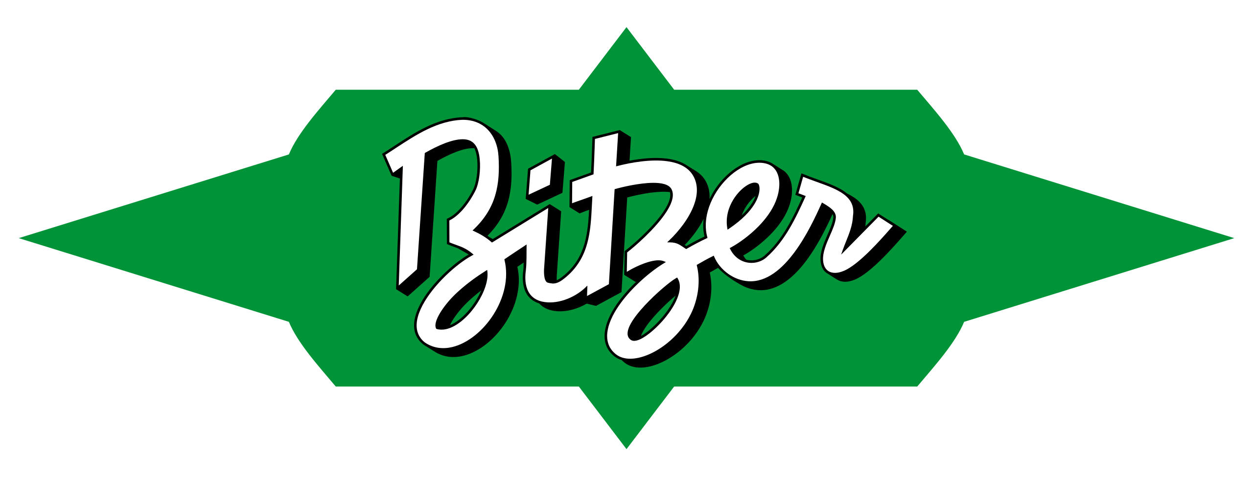 Bitzer_logo.svg.png